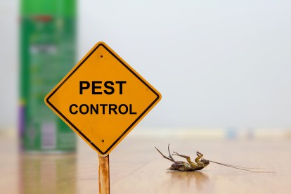 Pest Contol in Lewisham, SE13. Call Now 020 8166 9746
